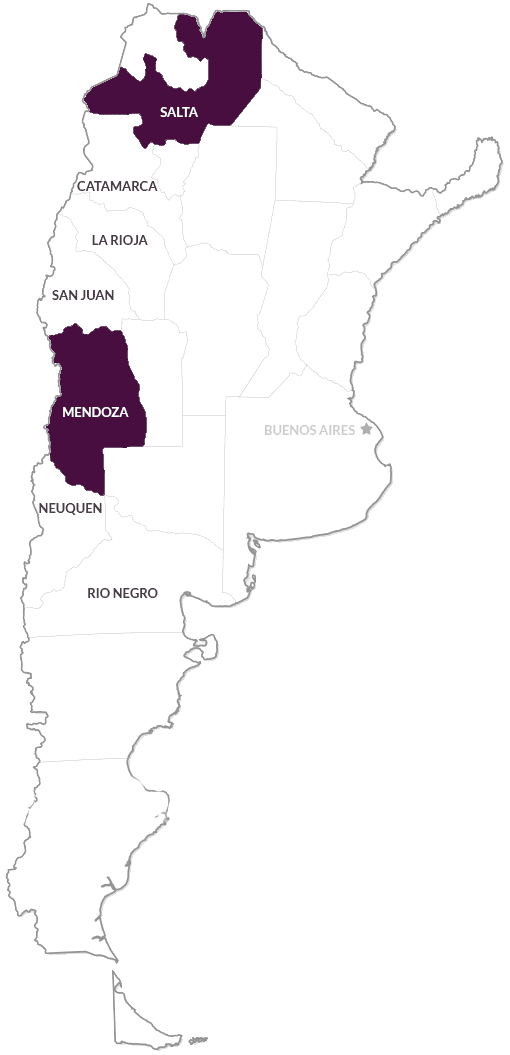 Argentina Wine Region