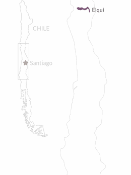 Mayu Pedro Ximenez | Vine 2021 | Connections Wine Chilean