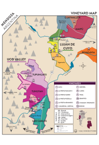 Rosé of Malbec 2020 Regional Map