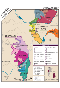 Rosé of Malbec 2022 Regional Map