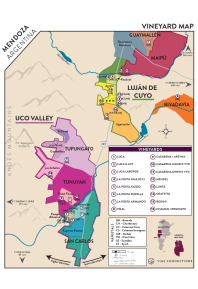 Pinot Noir 2021 Regional Map