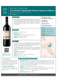 Valpolicella Classico Superiore Ripasso 'San Michele' 2019 Product Sheet