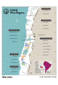 Carmenere, Los Lingues Vineyard 2019 Regional Map