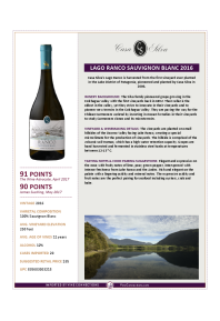 Lago Ranco Sauvignon Blanc 2016 Product Sheet