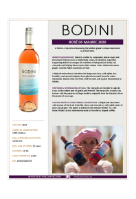 Rosé of Malbec 2020 Product Sheet