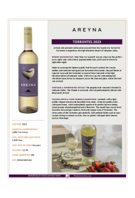 Torrontes 2023 Product Sheet